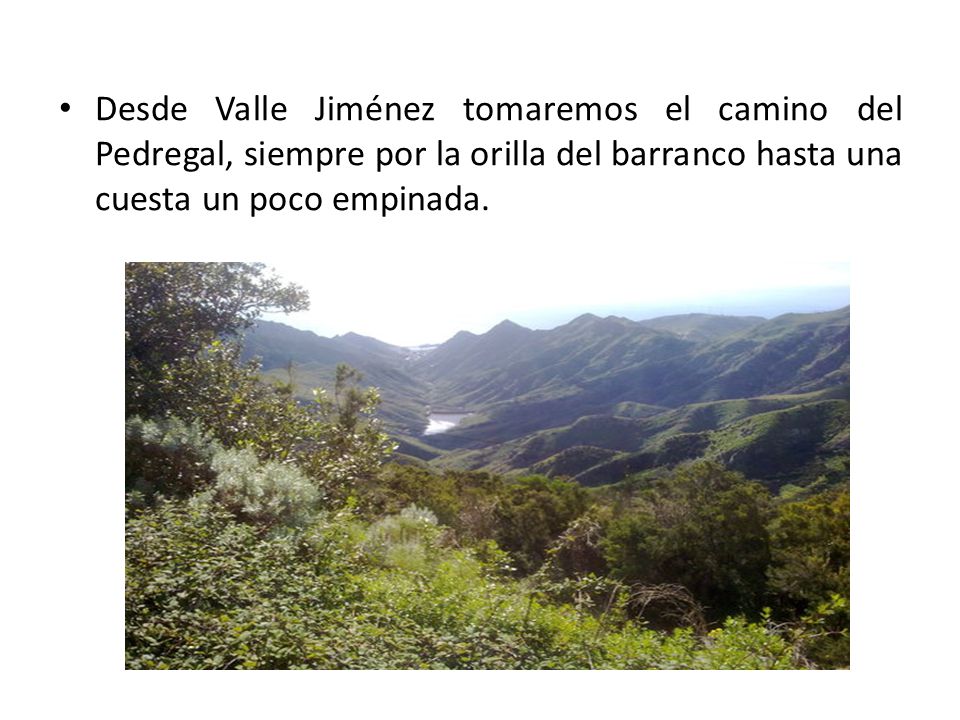 Desde Valle Jiménez tomaremos el camino del Pedregal, siempre por la orilla del barranco hasta una cuesta un poco empinada.
