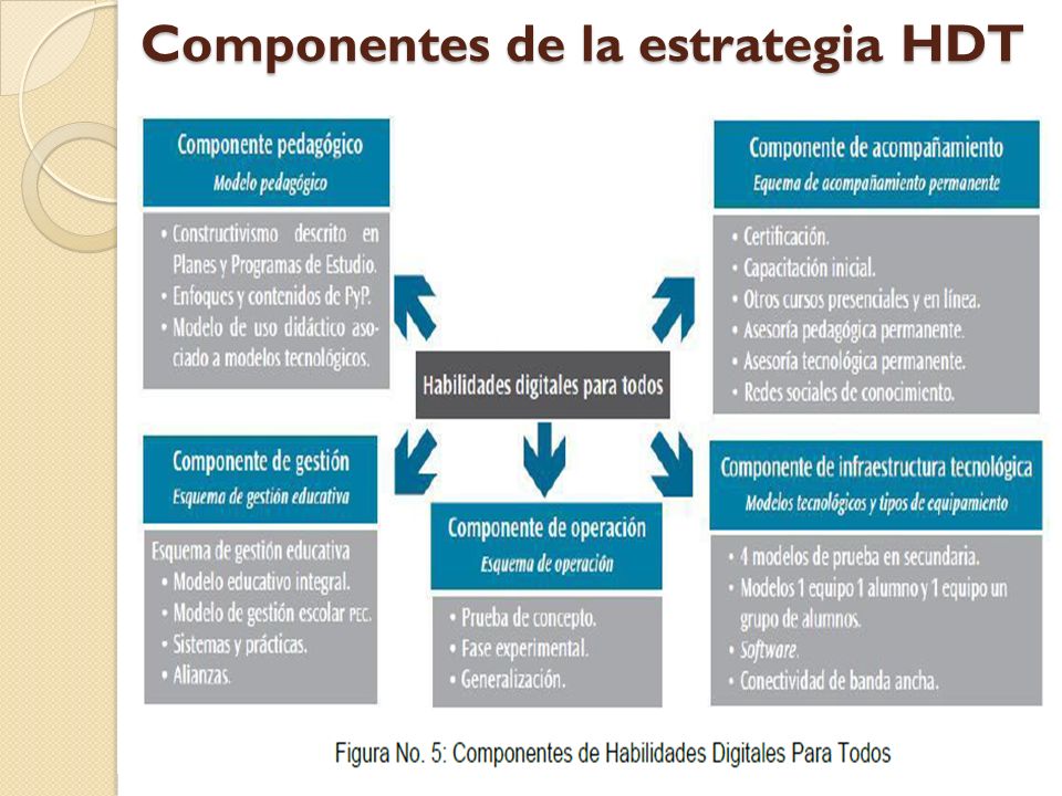 Componentes de la estrategia HDT