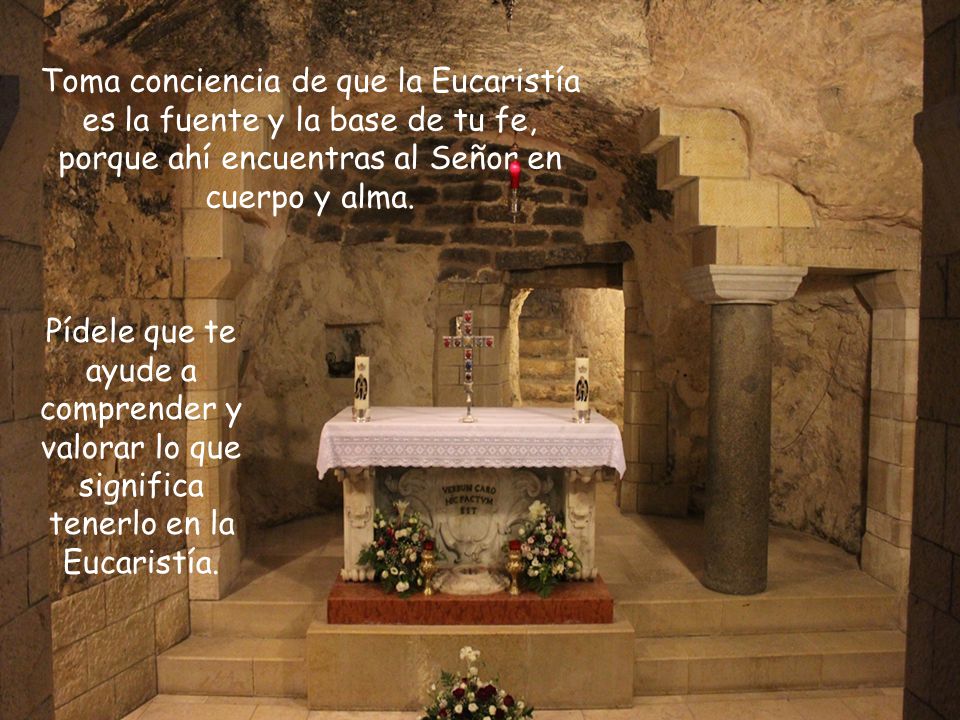 Toma conciencia de que la Eucaristía es la fuente y la base de tu fe, porque ahí encuentras al Señor en cuerpo y alma.