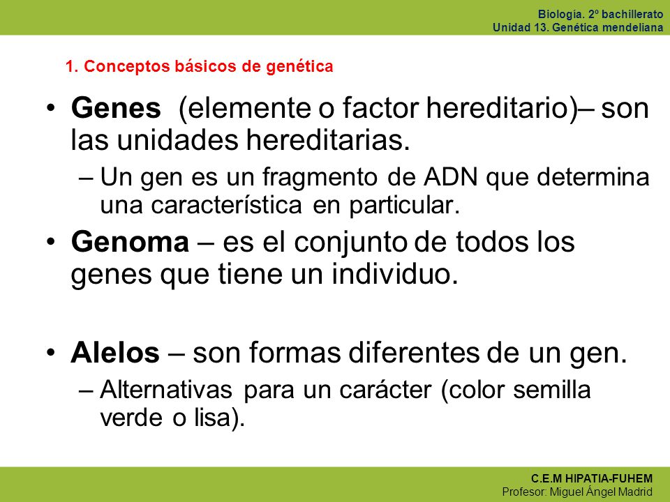 Genes (elemente o factor hereditario)– son las unidades hereditarias.