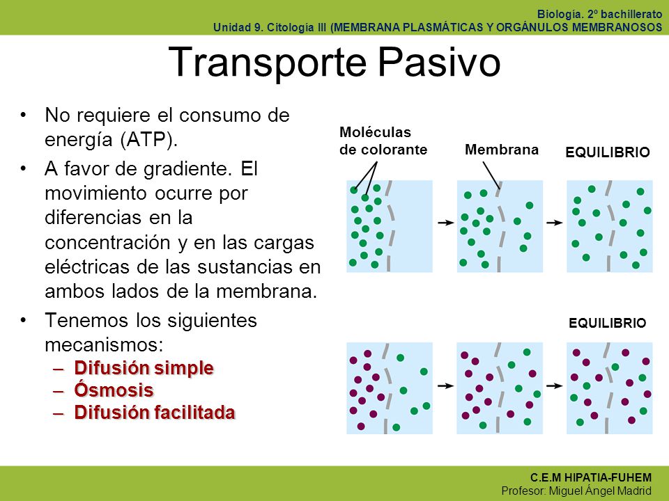 Transporte Pasivo No requiere el consumo de energía (ATP).