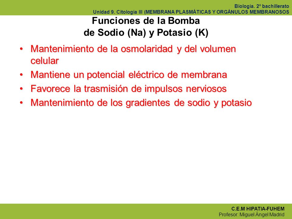 Funciones de la Bomba de Sodio (Na) y Potasio (K)