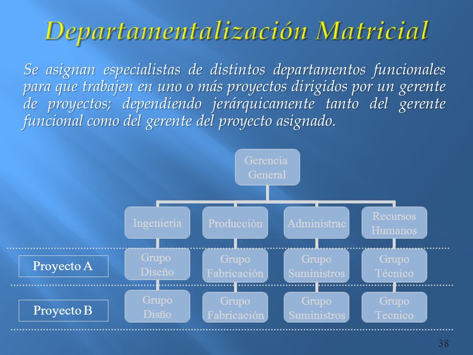 Departamentalización Matricial