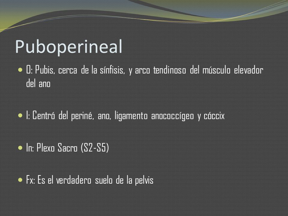 Puboperineal O: Pubis, cerca de la sínfisis, y arco tendinoso del músculo elevador del ano.
