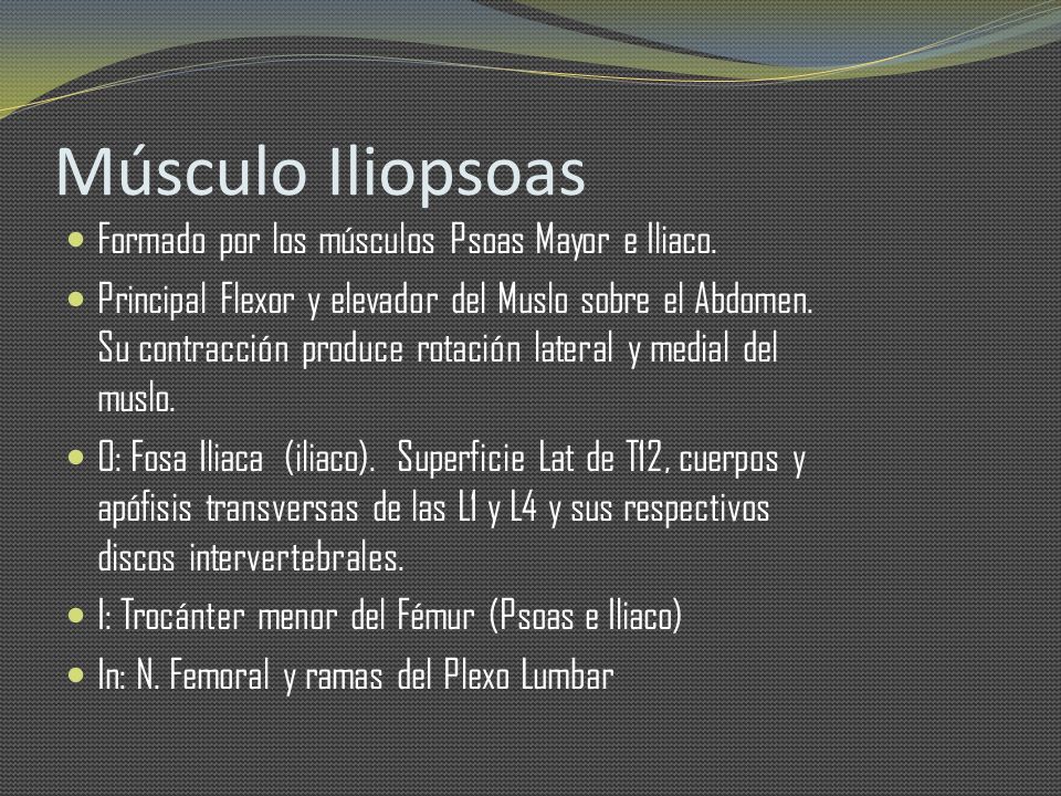 Músculo Iliopsoas Formado por los músculos Psoas Mayor e Iliaco.
