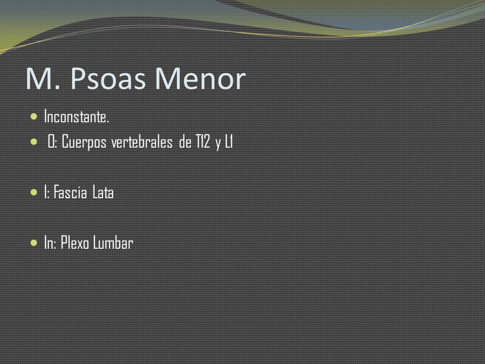 M. Psoas Menor Inconstante. O: Cuerpos vertebrales de T12 y L1
