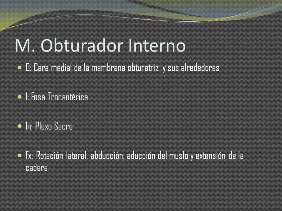 M. Obturador Interno O: Cara medial de la membrana obturatriz y sus alrededores. I: Fosa Trocantérica.