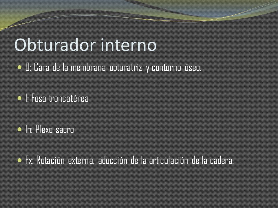 Obturador interno O: Cara de la membrana obturatriz y contorno óseo.