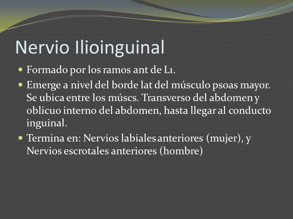 Nervio Ilioinguinal Formado por los ramos ant de L1.
