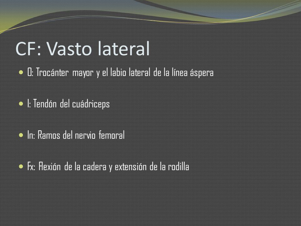 CF: Vasto lateral O: Trocánter mayor y el labio lateral de la línea áspera. I: Tendón del cuádriceps.