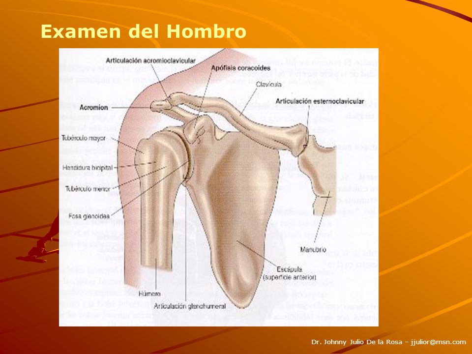 Examen del Hombro Dr. Johnny Julio De la Rosa –