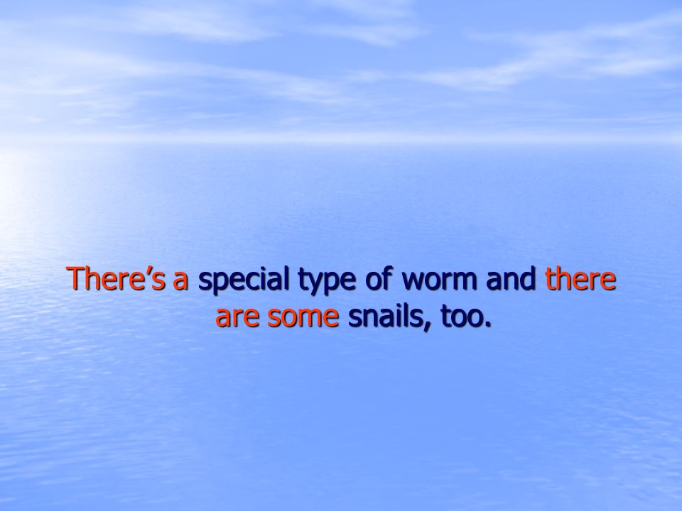 There’s a special type of worm and there are some snails, too.