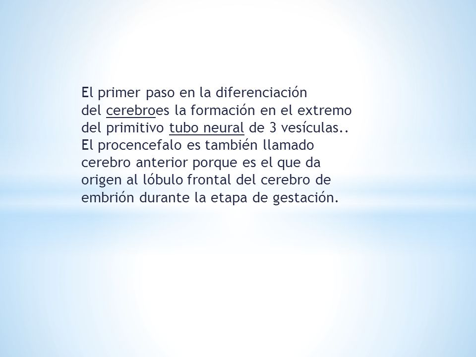 El primer paso en la diferenciación del cerebroes la formación en el extremo del primitivo tubo neural de 3 vesículas..