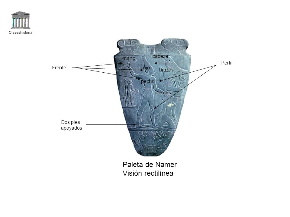 Paleta de Namer Visión rectilínea cabeza mano Perfil Frente ojo brazos