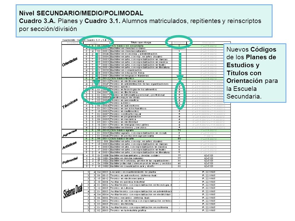 Nivel SECUNDARIO/MEDIO/POLIMODAL Cuadro 3. A. Planes y Cuadro 3. 1