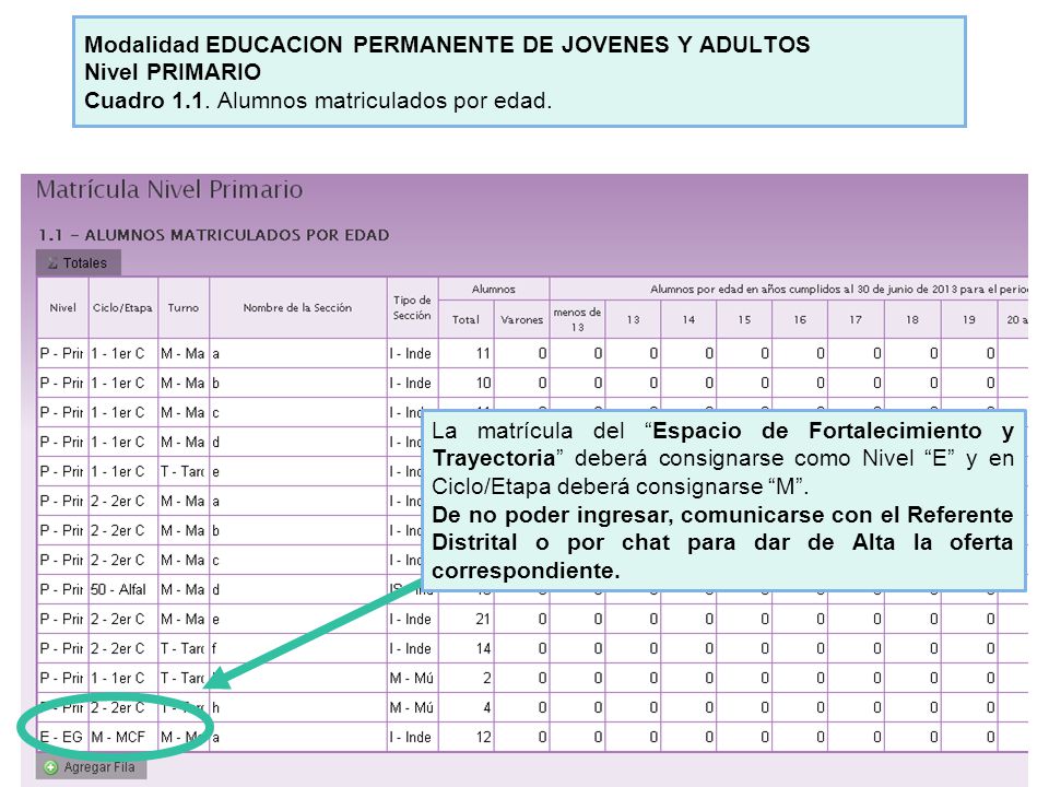 Modalidad EDUCACION PERMANENTE DE JOVENES Y ADULTOS Nivel PRIMARIO Cuadro 1.1. Alumnos matriculados por edad.