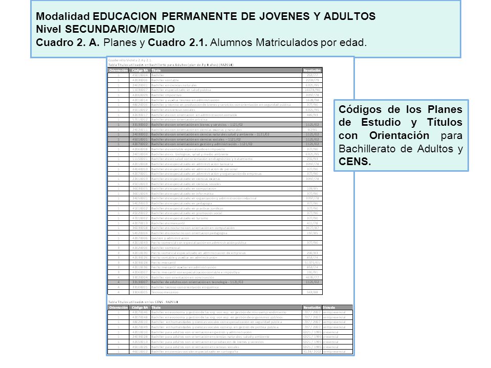 Modalidad EDUCACION PERMANENTE DE JOVENES Y ADULTOS Nivel SECUNDARIO/MEDIO Cuadro 2. A. Planes y Cuadro 2.1. Alumnos Matriculados por edad.