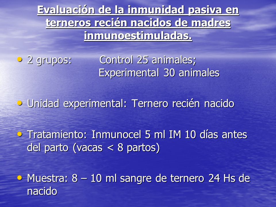 Evaluación de la inmunidad pasiva en terneros recién nacidos de madres inmunoestimuladas.