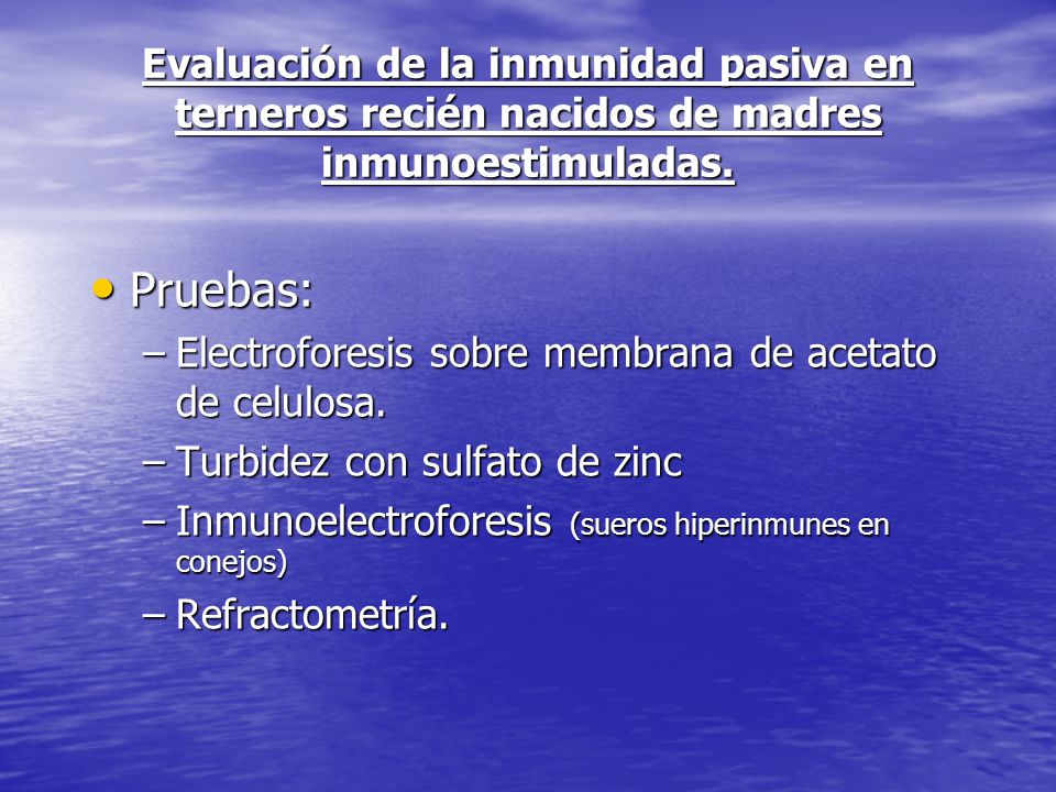 Evaluación de la inmunidad pasiva en terneros recién nacidos de madres inmunoestimuladas.