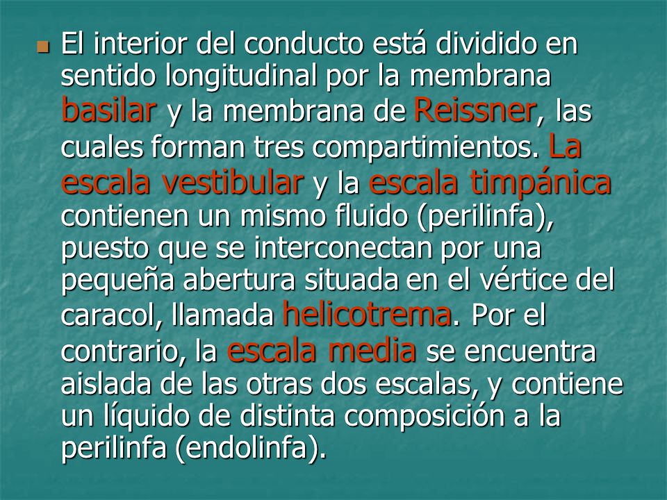 El interior del conducto está dividido en sentido longitudinal por la membrana basilar y la membrana de Reissner, las cuales forman tres compartimientos.