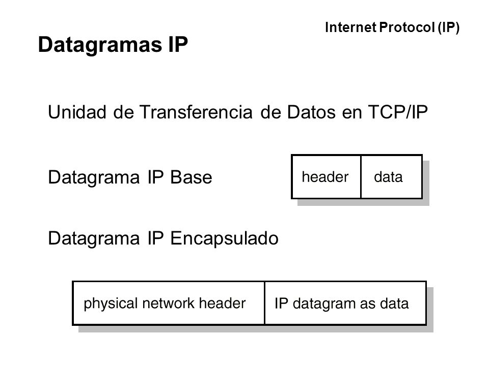Datagramas IP Unidad de Transferencia de Datos en TCP/IP