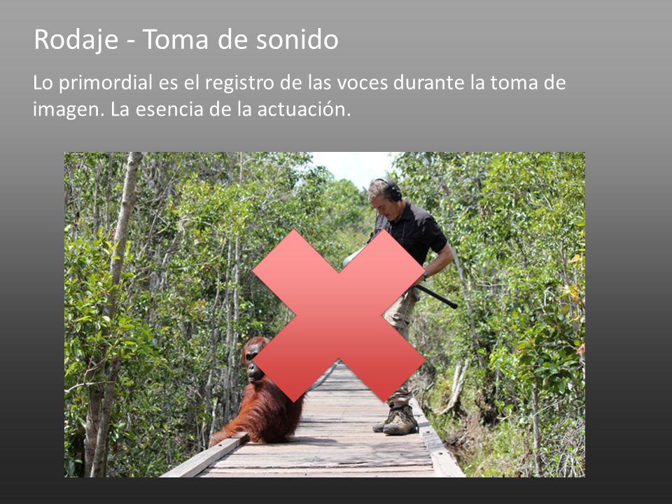 Rodaje - Toma de sonido Lo primordial es el registro de las voces durante la toma de imagen.