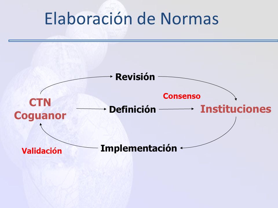 Elaboración de Normas CTN Coguanor Instituciones Revisión Definición