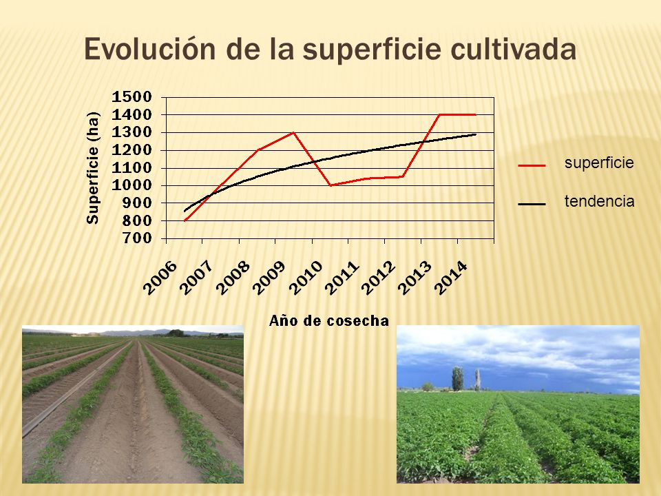 Evolución de la superficie cultivada