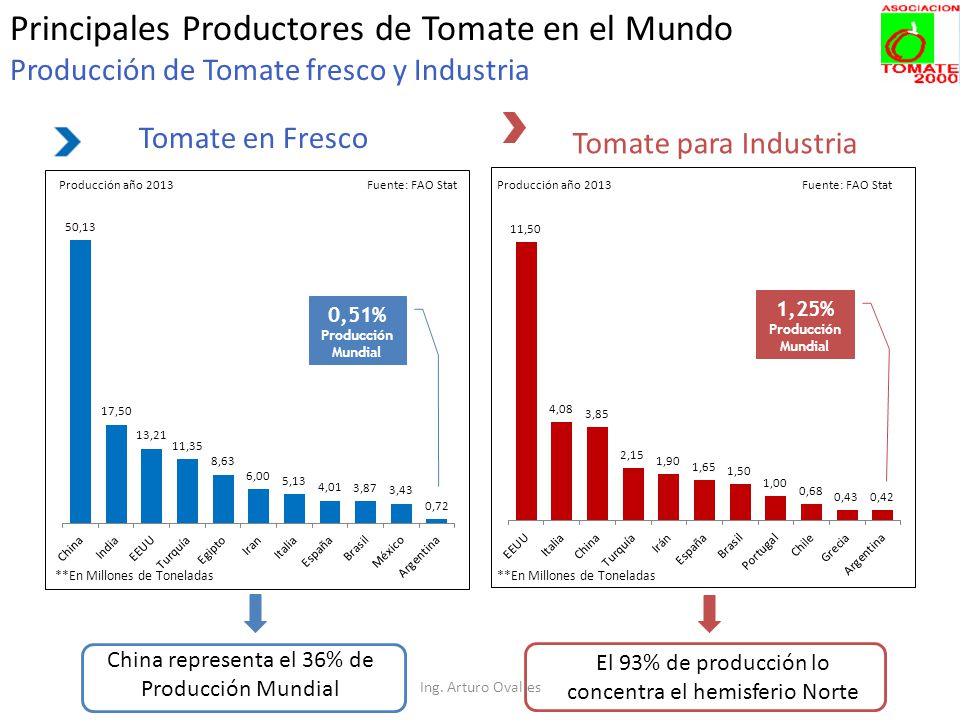 Principales Productores de Tomate en el Mundo Producción de Tomate fresco y Industria