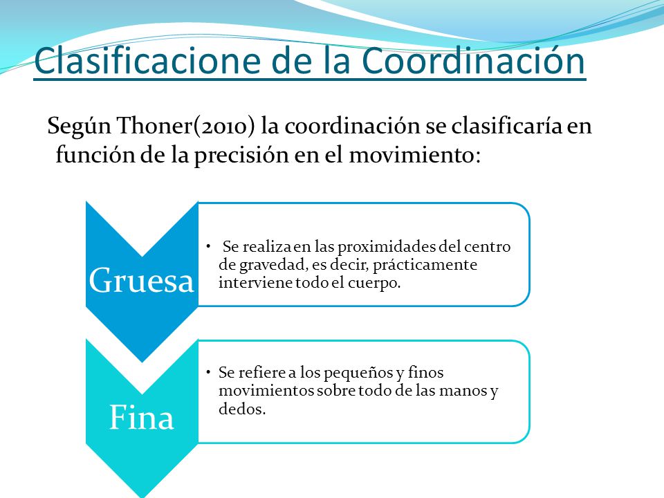 Clasificacione de la Coordinación