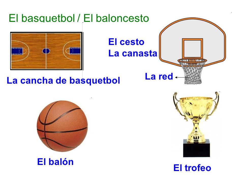 El basquetbol / El baloncesto