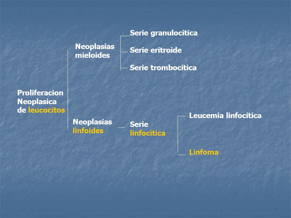 Serie granulocitica Serie eritroide. Serie trombocitica. Neoplasias. mieloides. Proliferacion. Neoplasica.