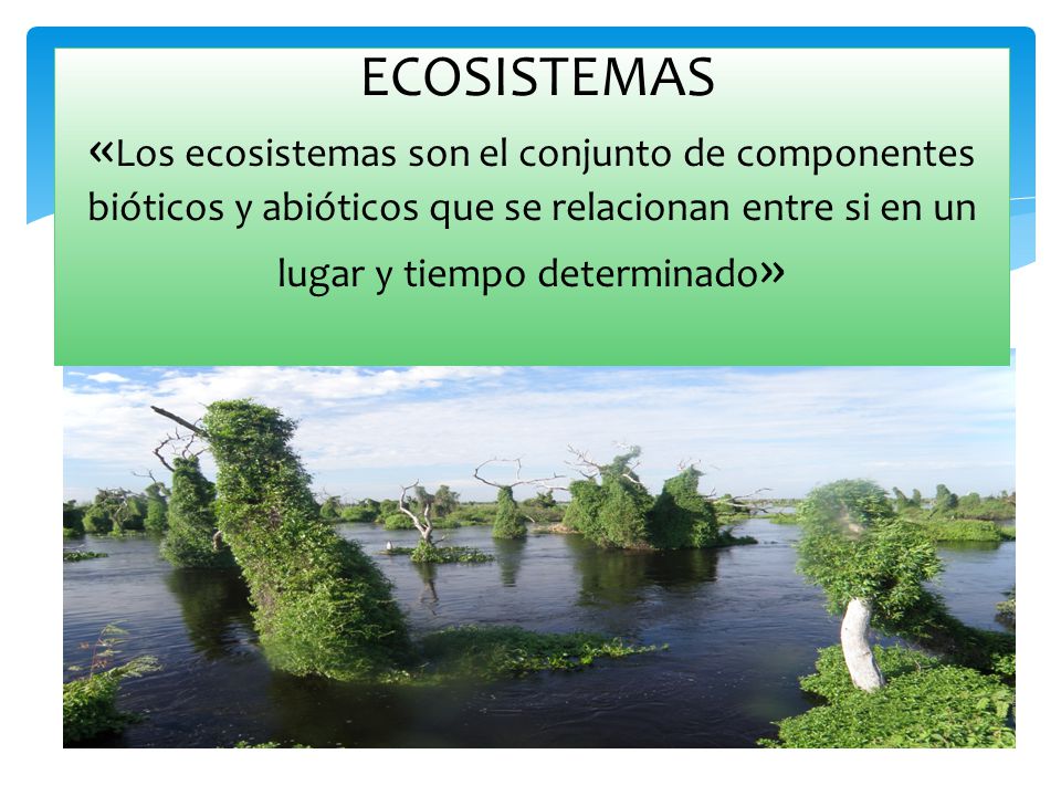 ECOSISTEMAS «Los ecosistemas son el conjunto de componentes bióticos y abióticos que se relacionan entre si en un lugar y tiempo determinado»