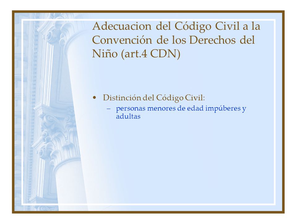 Adecuacion del Código Civil a la Convención de los Derechos del Niño (art.4 CDN)
