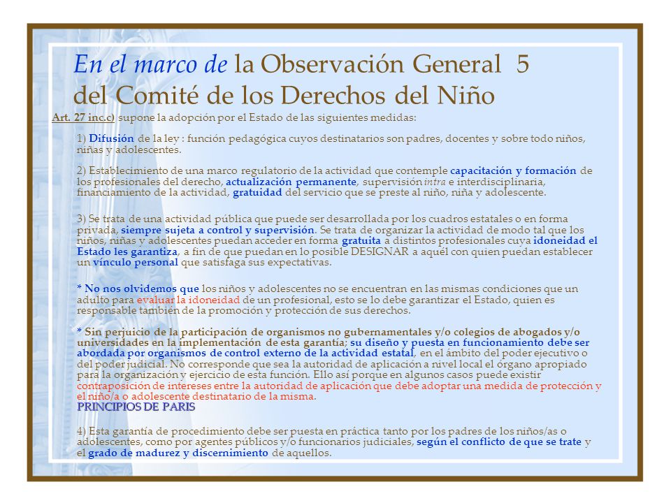 En el marco de la Observación General 5 del Comité de los Derechos del Niño