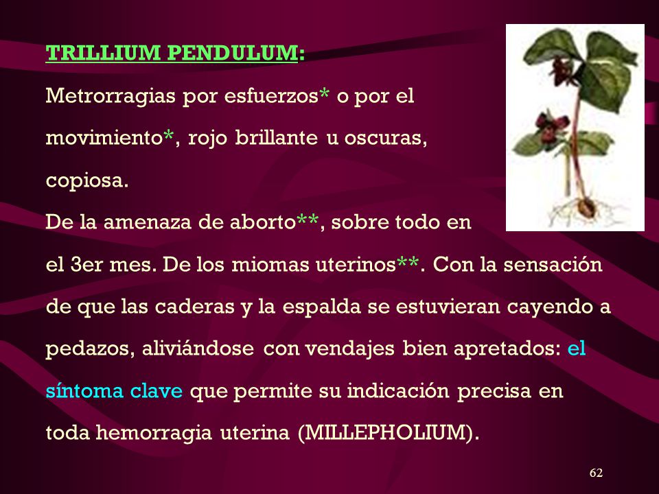 TRILLIUM PENDULUM: Metrorragias por esfuerzos* o por el. movimiento*, rojo brillante u oscuras, copiosa.