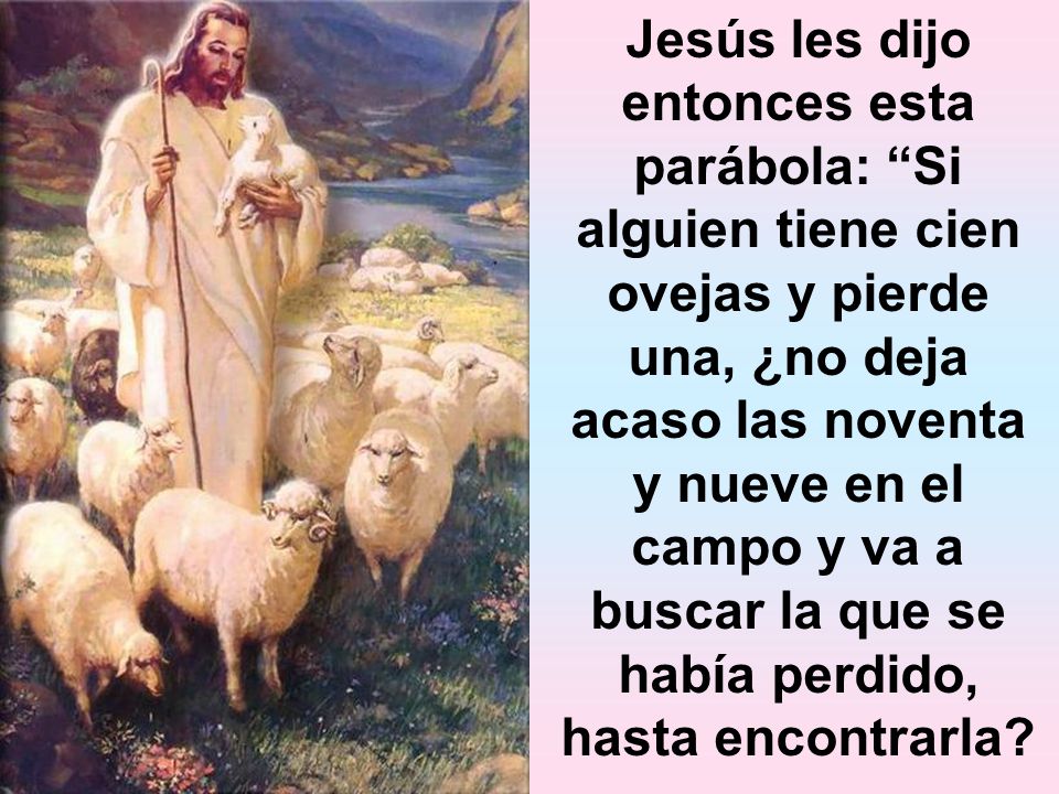 Jesús les dijo entonces esta parábola: Si alguien tiene cien ovejas y pierde una, ¿no deja acaso las noventa y nueve en el campo y va a buscar la que se había perdido, hasta encontrarla