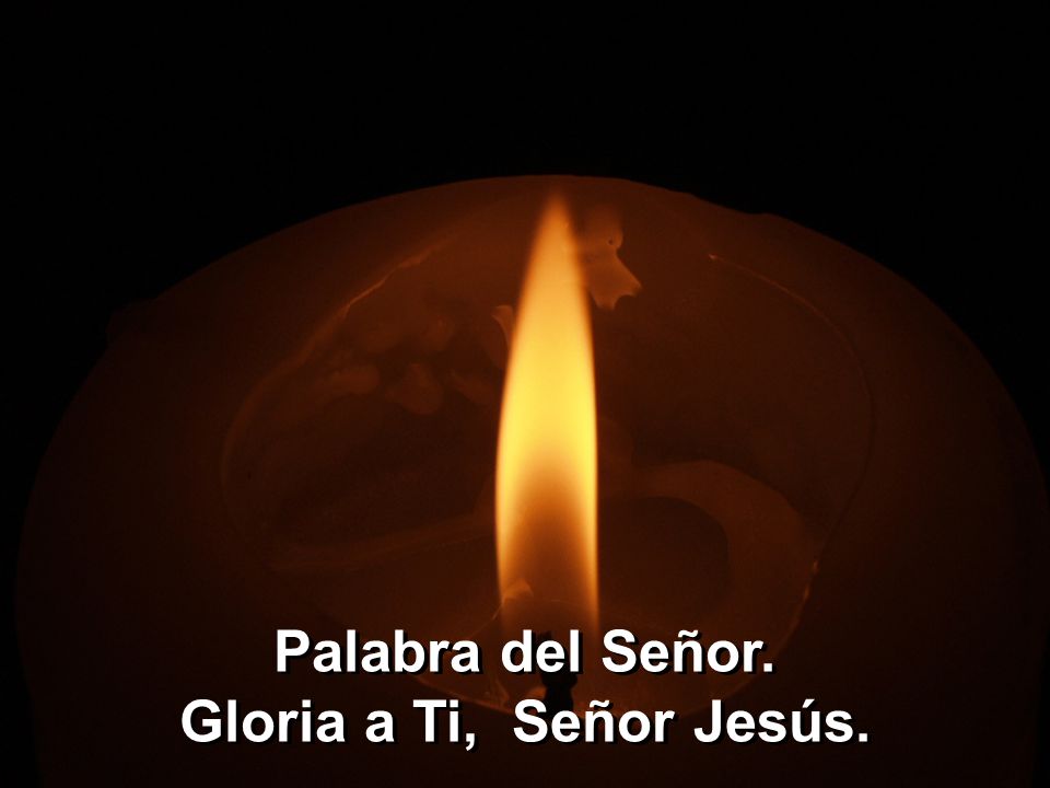 Palabra del Señor. Gloria a Ti, Señor Jesús.