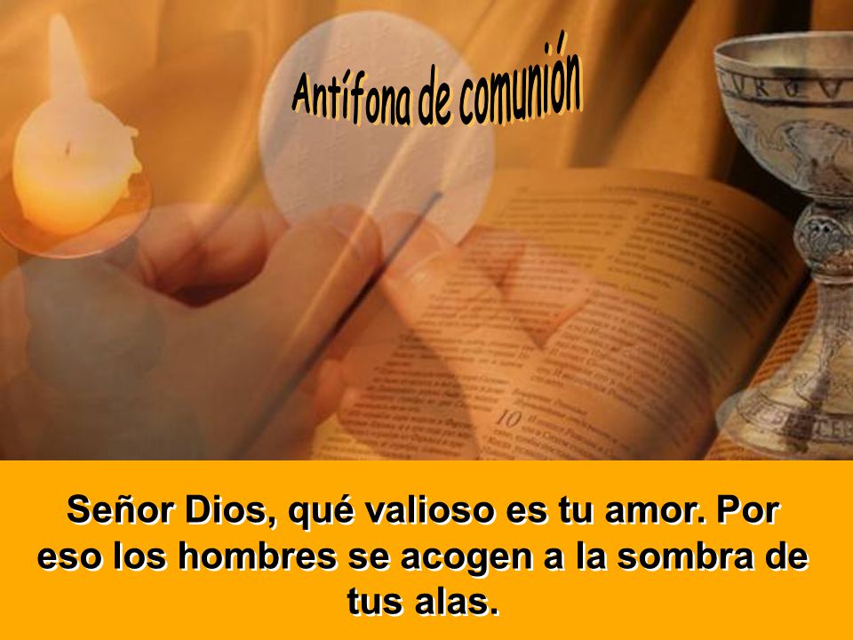 Antífona de comunión Señor Dios, qué valioso es tu amor.