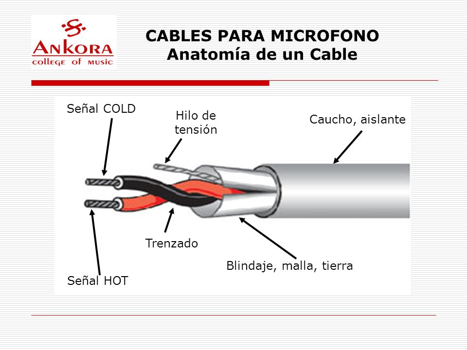 CABLES PARA MICROFONO Anatomía de un Cable - ppt video online descargar