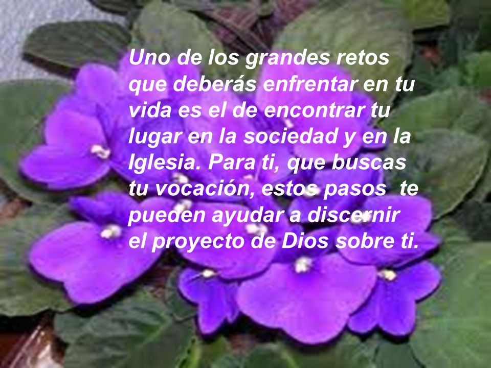 Uno de los grandes retos que deberás enfrentar en tu vida es el de encontrar tu lugar en la sociedad y en la Iglesia.
