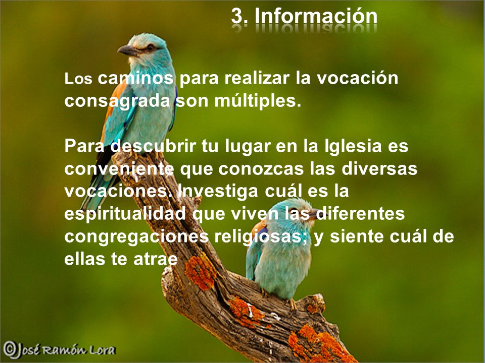 3. información Los caminos para realizar la vocación consagrada son múltiples.