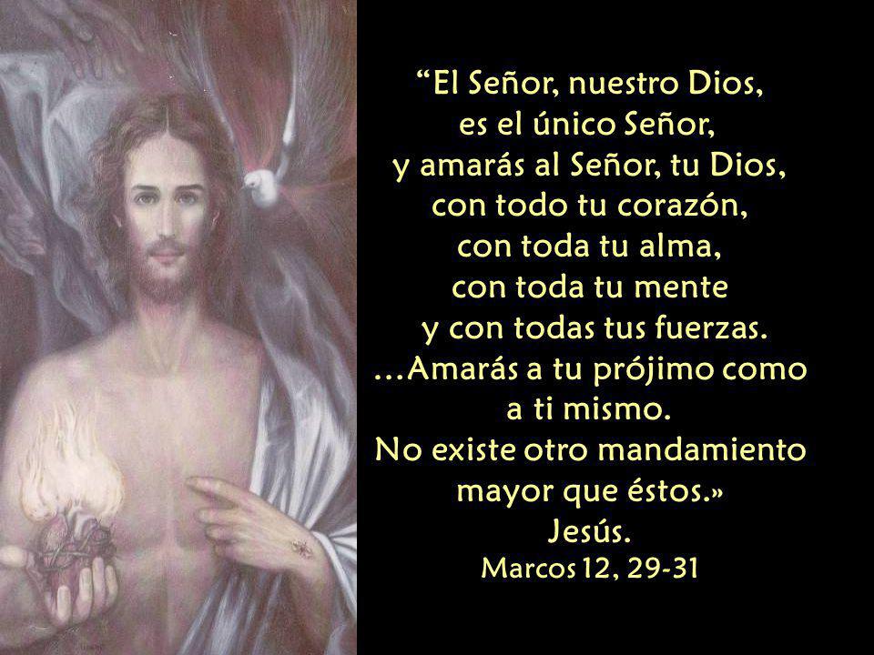 y amarás al Señor, tu Dios, con todo tu corazón, con toda tu alma,