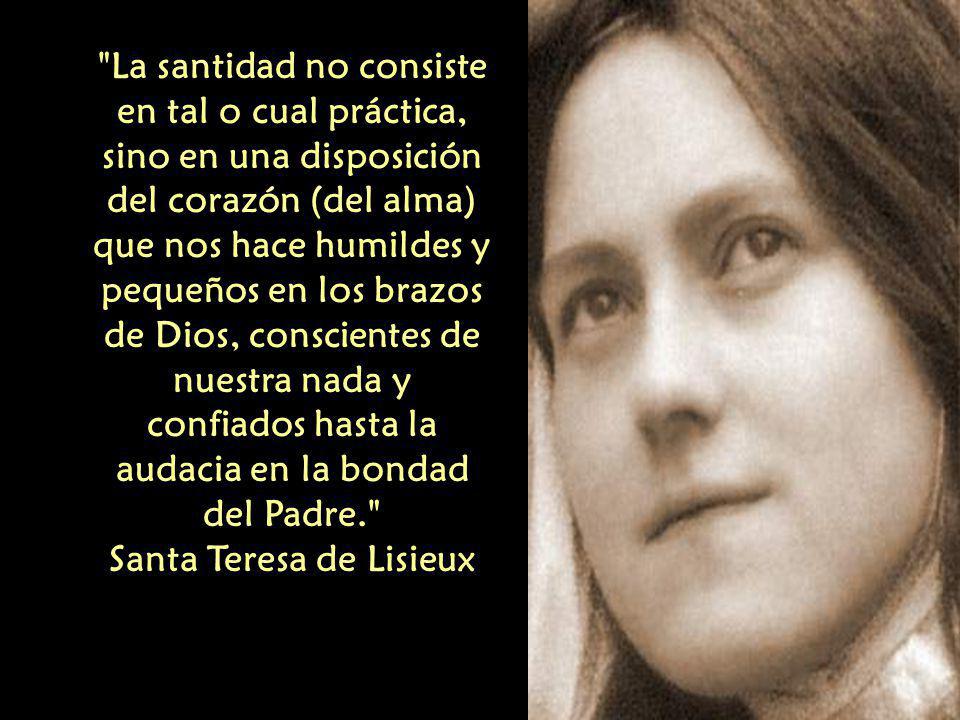 La santidad no consiste en tal o cual práctica,