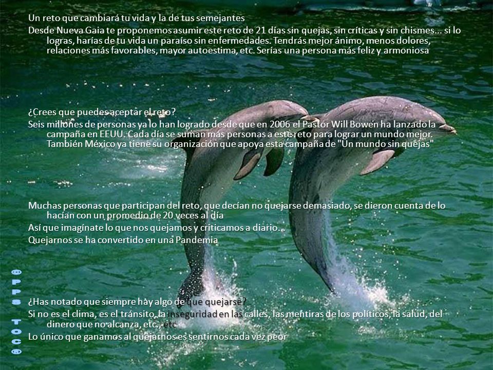 Un reto que cambiará tu vida y la de tus semejantes Desde Nueva Gaia te proponemos asumir este reto de 21 días sin quejas, sin críticas y sin chismes... si lo logras, harías de tu vida un paraíso sin enfermedades. Tendrás mejor ánimo, menos dolores, relaciones más favorables, mayor autoestima, etc. Serías una persona más feliz y armoniosa ¿Crees que puedes aceptar el reto Seis millones de personas ya lo han logrado desde que en 2006 el Pastor Will Bowen ha lanzado la campaña en EEUU. Cada día se suman más personas a este reto para lograr un mundo mejor. También México ya tiene su organización que apoya esta campaña de Un mundo sin quejas Muchas personas que participan del reto, que decían no quejarse demasiado, se dieron cuenta de lo hacían con un promedio de 20 veces al día Así que imagínate lo que nos quejamos y criticamos a diario... Quejarnos se ha convertido en una Pandemia ¿Has notado que siempre hay algo de que quejarse Si no es el clima, es el tránsito, la inseguridad en las calles, las mentiras de los políticos, la salud, del dinero que no alcanza, etc., etc Lo único que ganamos al quejarnos es sentirnos cada vez peor