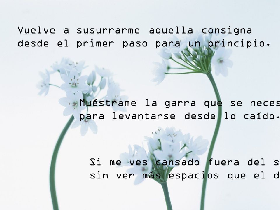 Vuelve a susurrarme aquella consigna desde el primer paso para un principio.