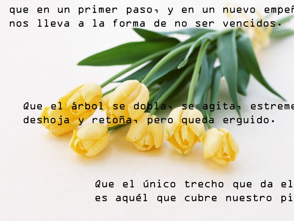 que en un primer paso, y en un nuevo empeño, nos lleva a la forma de no ser vencidos.