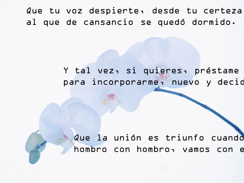 Que tu voz despierte, desde tu certeza, al que de cansancio se quedó dormido.