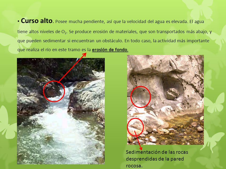 Curso alto. Posee mucha pendiente, así que la velocidad del agua es elevada. El agua tiene altos niveles de O2. Se produce erosión de materiales, que son transportados más abajo, y que pueden sedimentar si encuentran un obstáculo. En todo caso, la actividad más importante que realiza el río en este tramo es la erosión de fondo.