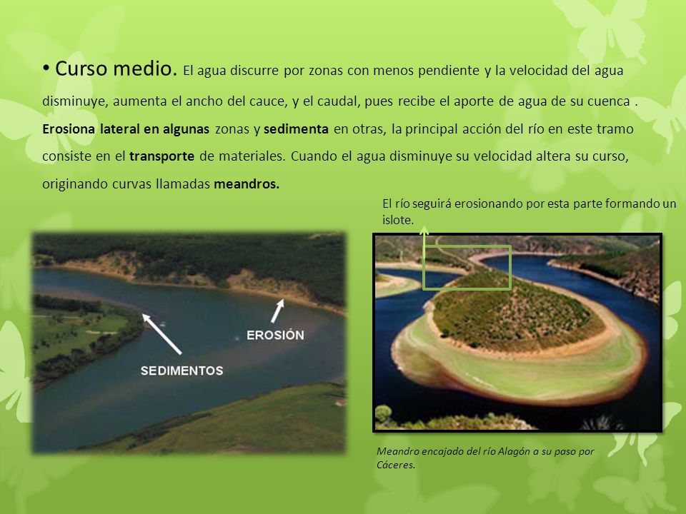 Curso medio. El agua discurre por zonas con menos pendiente y la velocidad del agua disminuye, aumenta el ancho del cauce, y el caudal, pues recibe el aporte de agua de su cuenca . Erosiona lateral en algunas zonas y sedimenta en otras, la principal acción del río en este tramo consiste en el transporte de materiales. Cuando el agua disminuye su velocidad altera su curso, originando curvas llamadas meandros.
